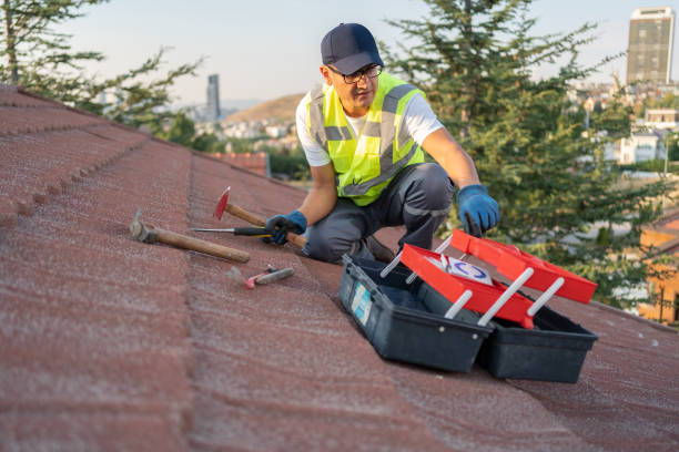 Best Carpet Removal and Disposal  in Spencer, IA